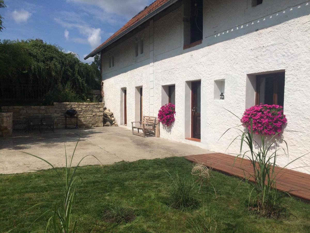 Apartman Zidovice Лоуни Екстер'єр фото